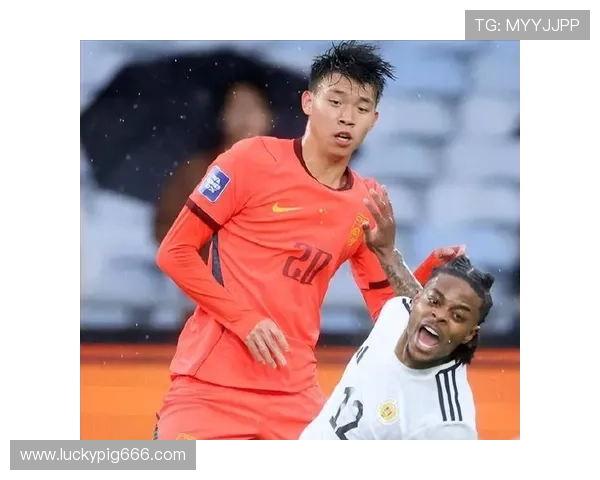 国足0比2负喀麦隆 FIFA积分上升仍排第93