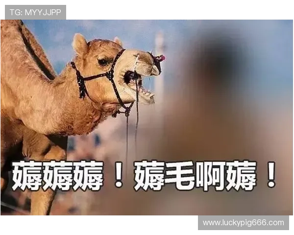 国脚回应被薅头发事件：我连英语都不懂